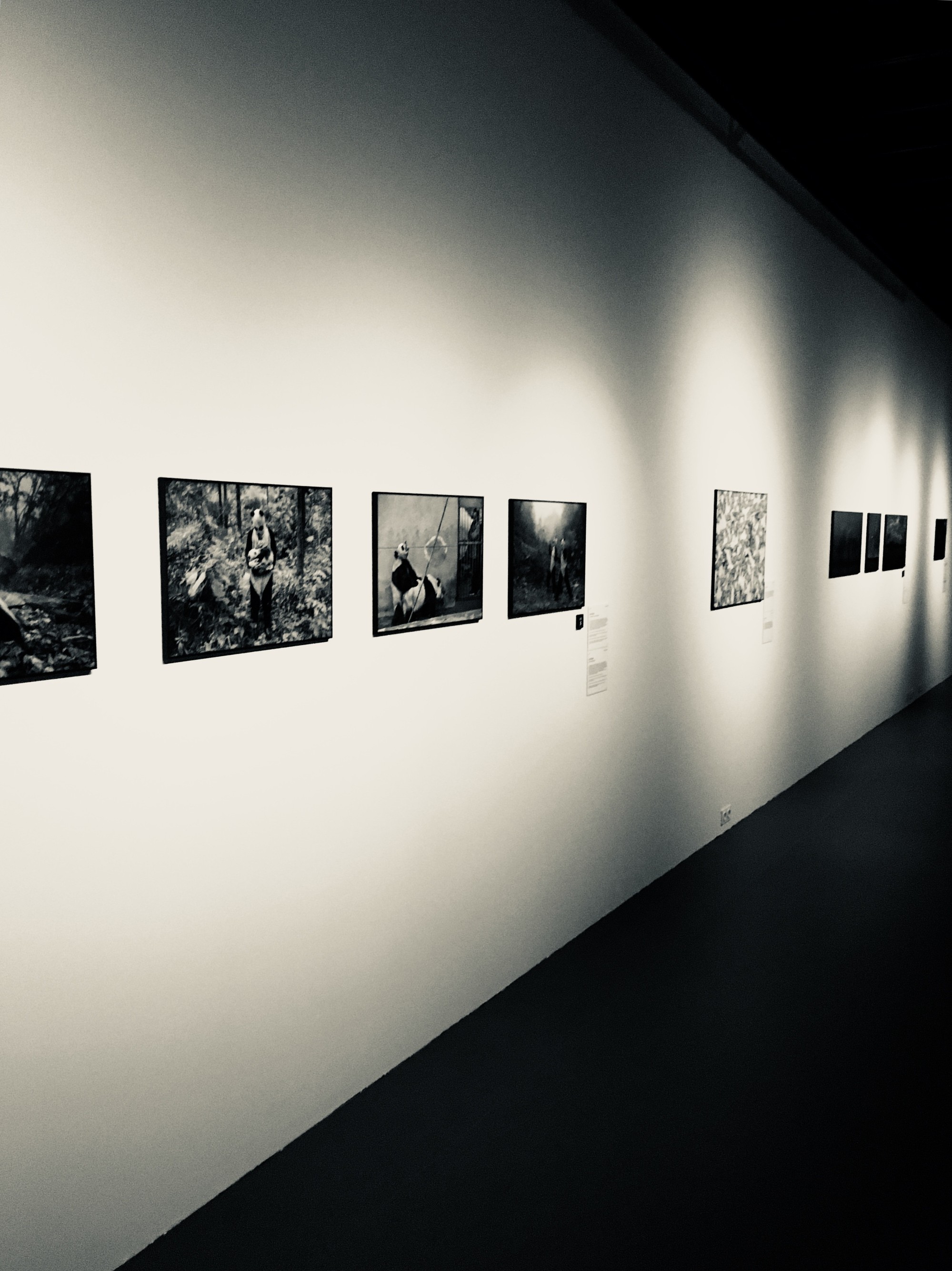 world press photo 2017 - berg en dal